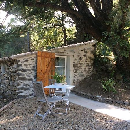 La Petite Bergerie, Les Hautes Roches Collobrieres Exterior photo
